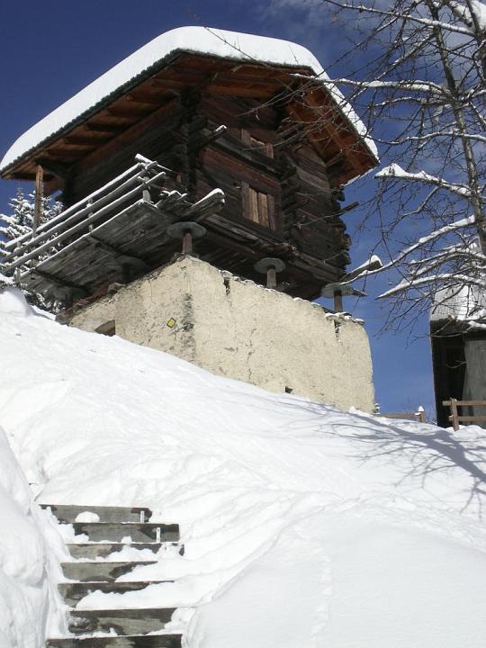 w11.jpg
